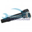 bobina accensione,INDUTTORE ACCENSIONE,MODULO ACCENSIONE