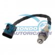 sonda lambda,SENSORE OSSIGENO