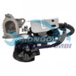 valvola egr,DSIPOSITIVO CONTROLLO EMISSIONE SCARICO,GRUPPO EGR,VALVOLA RICIRCOLAZIONE GAS,VALVOLA RICIRCOLO GAS SCARICO