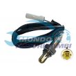 sonda lambda,SENSORE OSSIGENO