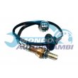 sonda lambda,SENSORE OSSIGENO