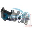 valvola egr,DSIPOSITIVO CONTROLLO EMISSIONE SCARICO,GRUPPO EGR,VALVOLA RICIRCOLAZIONE GAS,VALVOLA RICIRCOLO GAS SCARICO