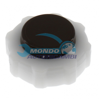 SERBATOIO DI ESPANSIONE