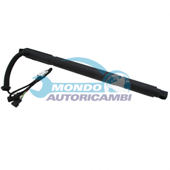 ATTUATORE ELETTRICO BAGAGLIAIO