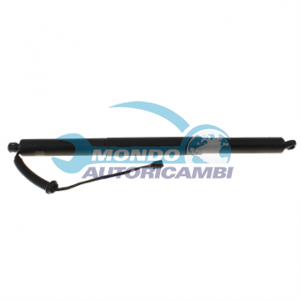 ATTUATORE ELETTRICO BAGAGLIAIO