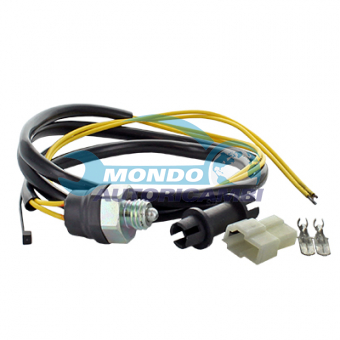 INTERRUTTORE LUCE RETROMARCIA