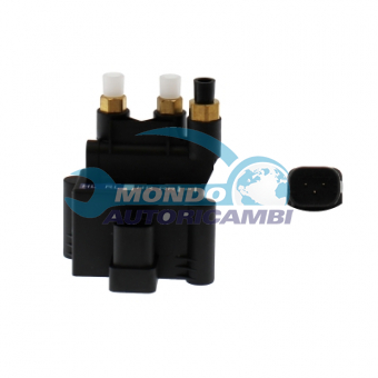 GRUPPO VALVOLE SOSPENSIONE PNEUMATICA