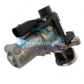 VALVOLA EGR, DSIPOSITIVO CONTROLLO EMISSIONE SCARICO, GRUPPO EGR, VALVOLA RICIRCOLAZIONE GAS, VALVOLA RICIRCOLO GAS SCARICO