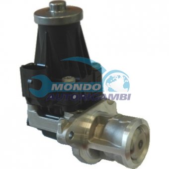 VALVOLA EGR, DSIPOSITIVO CONTROLLO EMISSIONE SCARICO, GRUPPO EGR, VALVOLA RICIRCOLAZIONE GAS, VALVOLA RICIRCOLO GAS SCARICO