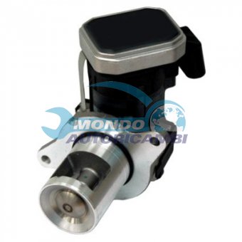 VALVOLA EGR, DSIPOSITIVO CONTROLLO EMISSIONE SCARICO, GRUPPO EGR, VALVOLA RICIRCOLAZIONE GAS, VALVOLA RICIRCOLO GAS SCARICO