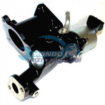 VALVOLA EGR, DSIPOSITIVO CONTROLLO EMISSIONE SCARICO, GRUPPO EGR, VALVOLA RICIRCOLAZIONE GAS, VALVOLA RICIRCOLO GAS SCARICO