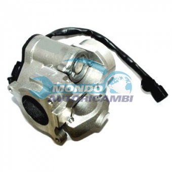 VALVOLA EGR, DSIPOSITIVO CONTROLLO EMISSIONE SCARICO, GRUPPO EGR, VALVOLA RICIRCOLAZIONE GAS, VALVOLA RICIRCOLO GAS SCARICO