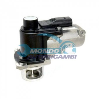 VALVOLA EGR, DSIPOSITIVO CONTROLLO EMISSIONE SCARICO, GRUPPO EGR, VALVOLA RICIRCOLAZIONE GAS, VALVOLA RICIRCOLO GAS SCARICO