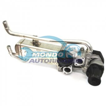 VALVOLA EGR, DSIPOSITIVO CONTROLLO EMISSIONE SCARICO, GRUPPO EGR, VALVOLA RICIRCOLAZIONE GAS, VALVOLA RICIRCOLO GAS SCARICO