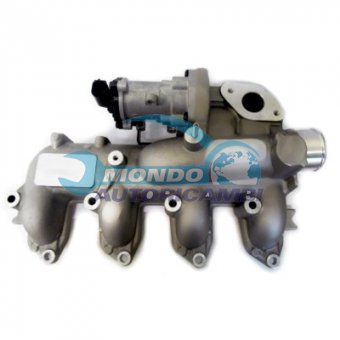 VALVOLA EGR, DSIPOSITIVO CONTROLLO EMISSIONE SCARICO, GRUPPO EGR, VALVOLA RICIRCOLAZIONE GAS, VALVOLA RICIRCOLO GAS SCARICO
