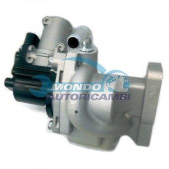 VALVOLA EGR, DSIPOSITIVO CONTROLLO EMISSIONE SCARICO, GRUPPO EGR, VALVOLA RICIRCOLAZIONE GAS, VALVOLA RICIRCOLO GAS SCARICO