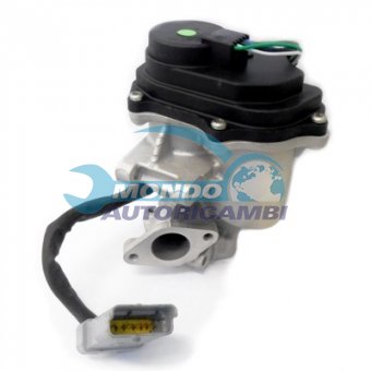VALVOLA EGR, DSIPOSITIVO CONTROLLO EMISSIONE SCARICO, GRUPPO EGR, VALVOLA RICIRCOLAZIONE GAS, VALVOLA RICIRCOLO GAS SCARICO