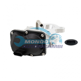 VALVOLA EGR, DSIPOSITIVO CONTROLLO EMISSIONE SCARICO, GRUPPO EGR, VALVOLA RICIRCOLAZIONE GAS, VALVOLA RICIRCOLO GAS SCARICO