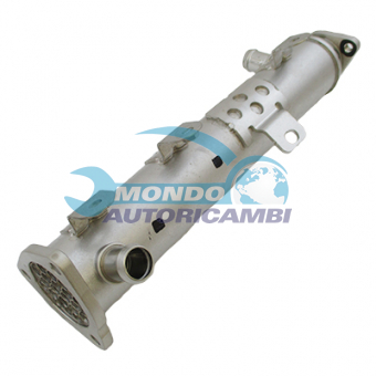 VALVOLA EGR, DSIPOSITIVO CONTROLLO EMISSIONE SCARICO, GRUPPO EGR, VALVOLA RICIRCOLAZIONE GAS, VALVOLA RICIRCOLO GAS SCARICO