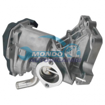 VALVOLA EGR, DSIPOSITIVO CONTROLLO EMISSIONE SCARICO, GRUPPO EGR, VALVOLA RICIRCOLAZIONE GAS, VALVOLA RICIRCOLO GAS SCARICO