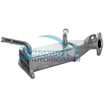 VALVOLA EGR, DSIPOSITIVO CONTROLLO EMISSIONE SCARICO, GRUPPO EGR, VALVOLA RICIRCOLAZIONE GAS, VALVOLA RICIRCOLO GAS SCARICO