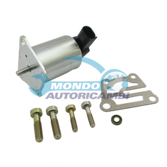 VALVOLA EGR, DSIPOSITIVO CONTROLLO EMISSIONE SCARICO, GRUPPO EGR, VALVOLA RICIRCOLAZIONE GAS, VALVOLA RICIRCOLO GAS SCARICO