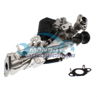 VALVOLA EGR, DSIPOSITIVO CONTROLLO EMISSIONE SCARICO, GRUPPO EGR, VALVOLA RICIRCOLAZIONE GAS, VALVOLA RICIRCOLO GAS SCARICO