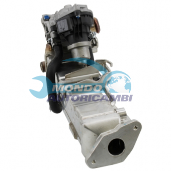 VALVOLA EGR, DSIPOSITIVO CONTROLLO EMISSIONE SCARICO, GRUPPO EGR, VALVOLA RICIRCOLAZIONE GAS, VALVOLA RICIRCOLO GAS SCARICO