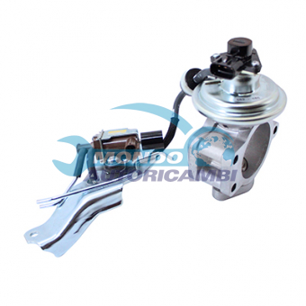 VALVOLA EGR, DSIPOSITIVO CONTROLLO EMISSIONE SCARICO, GRUPPO EGR, VALVOLA RICIRCOLAZIONE GAS, VALVOLA RICIRCOLO GAS SCARICO