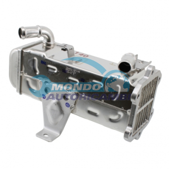 VALVOLA EGR, DSIPOSITIVO CONTROLLO EMISSIONE SCARICO, GRUPPO EGR, VALVOLA RICIRCOLAZIONE GAS, VALVOLA RICIRCOLO GAS SCARICO