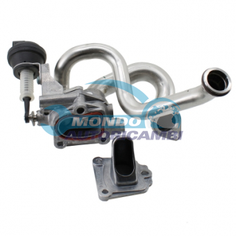 VALVOLA EGR, DSIPOSITIVO CONTROLLO EMISSIONE SCARICO, GRUPPO EGR, VALVOLA RICIRCOLAZIONE GAS, VALVOLA RICIRCOLO GAS SCARICO