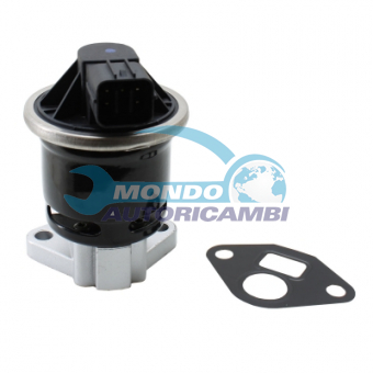 VALVOLA EGR, DSIPOSITIVO CONTROLLO EMISSIONE SCARICO, GRUPPO EGR, VALVOLA RICIRCOLAZIONE GAS, VALVOLA RICIRCOLO GAS SCARICO