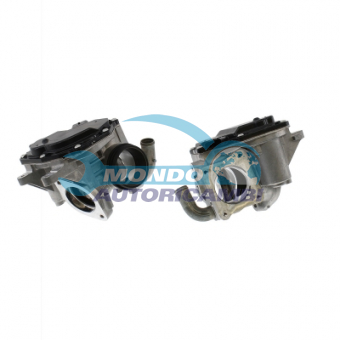 VALVOLA EGR, DSIPOSITIVO CONTROLLO EMISSIONE SCARICO, GRUPPO EGR, VALVOLA RICIRCOLAZIONE GAS, VALVOLA RICIRCOLO GAS SCARICO