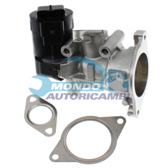 VALVOLA EGR, DSIPOSITIVO CONTROLLO EMISSIONE SCARICO, GRUPPO EGR, VALVOLA RICIRCOLAZIONE GAS, VALVOLA RICIRCOLO GAS SCARICO
