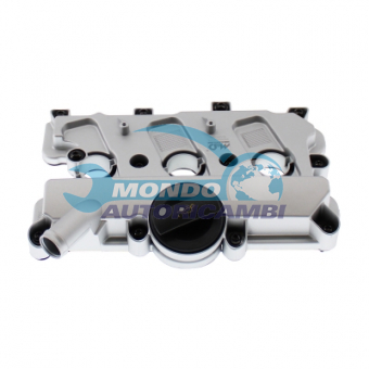 COPERCHIO COPRITESTATA