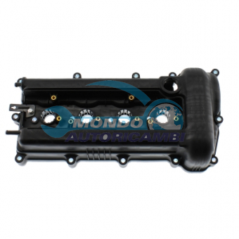 COPERCHIO COPRITESTATA