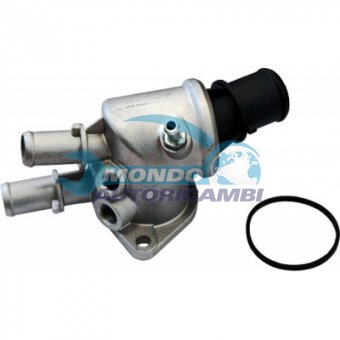 TERMOSTATO, TERMOINTERRUTTORE