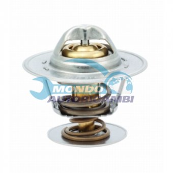 TERMOSTATO, TERMOINTERRUTTORE