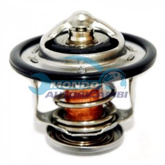 TERMOSTATO, TERMOINTERRUTTORE