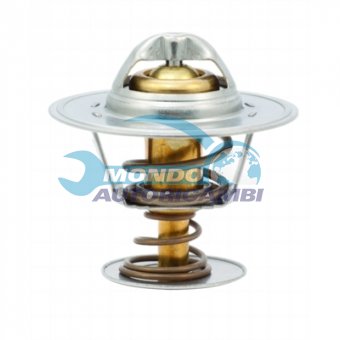 TERMOSTATO, TERMOINTERRUTTORE