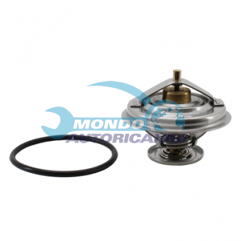 TERMOSTATO, TERMOINTERRUTTORE