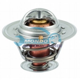 TERMOSTATO, TERMOINTERRUTTORE