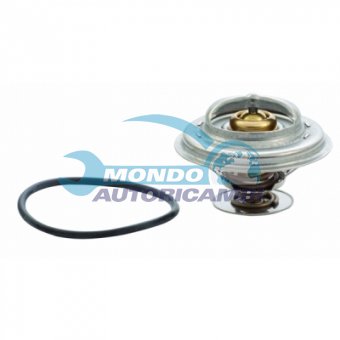 TERMOSTATO, TERMOINTERRUTTORE