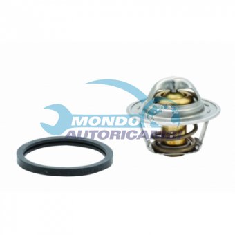 TERMOSTATO, TERMOINTERRUTTORE