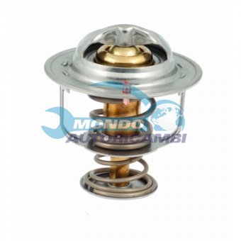 TERMOSTATO, TERMOINTERRUTTORE