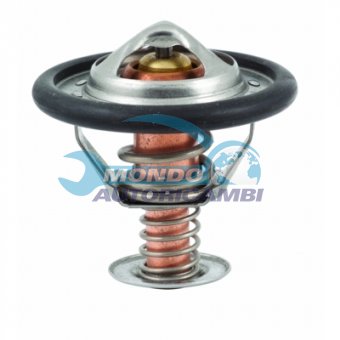 TERMOSTATO, TERMOINTERRUTTORE