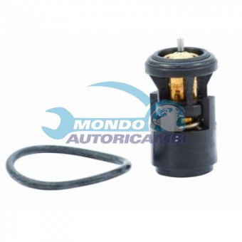 TERMOSTATO, TERMOINTERRUTTORE