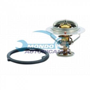 TERMOSTATO, TERMOINTERRUTTORE