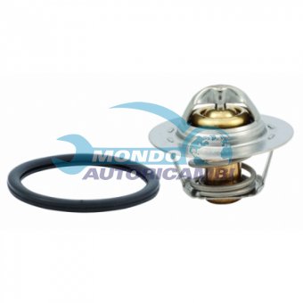 TERMOSTATO, TERMOINTERRUTTORE