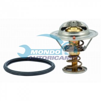 TERMOSTATO, TERMOINTERRUTTORE